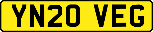 YN20VEG