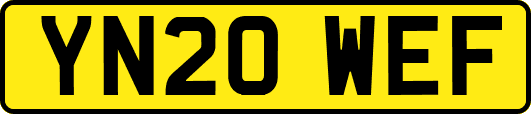 YN20WEF