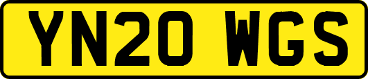YN20WGS