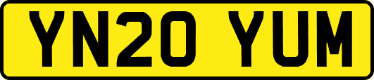 YN20YUM