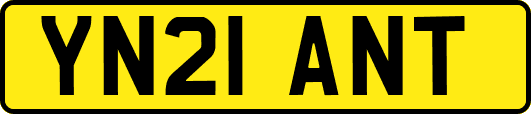 YN21ANT