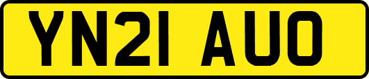 YN21AUO