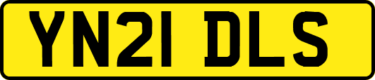 YN21DLS