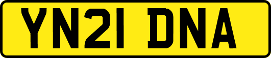 YN21DNA