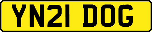 YN21DOG