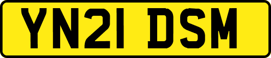 YN21DSM