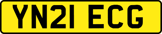 YN21ECG
