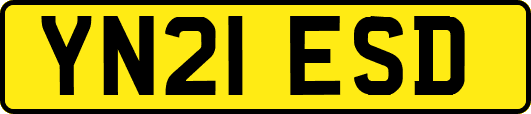 YN21ESD
