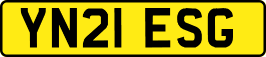 YN21ESG