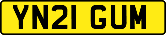 YN21GUM
