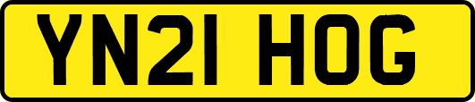 YN21HOG