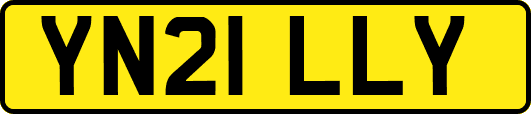 YN21LLY