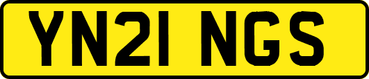 YN21NGS