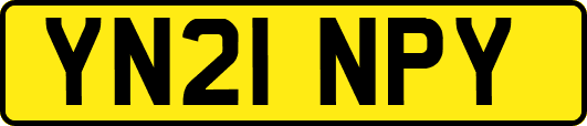 YN21NPY