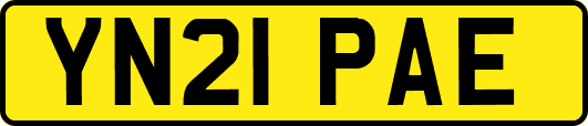 YN21PAE