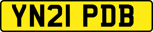 YN21PDB