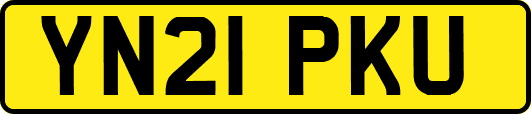 YN21PKU