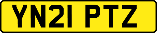 YN21PTZ