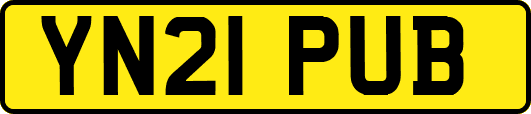 YN21PUB