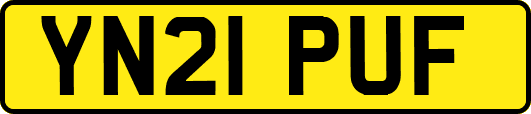 YN21PUF