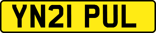 YN21PUL
