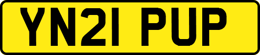 YN21PUP