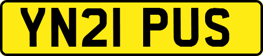 YN21PUS