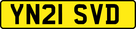 YN21SVD