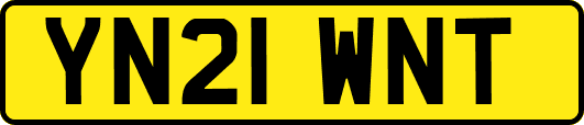 YN21WNT