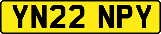 YN22NPY