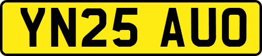YN25AUO