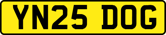 YN25DOG