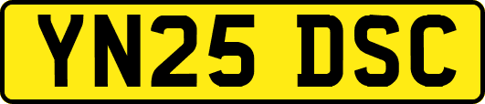 YN25DSC