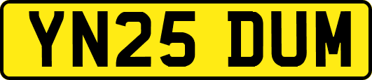 YN25DUM