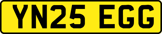 YN25EGG