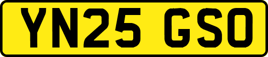 YN25GSO