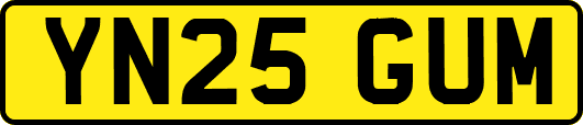 YN25GUM
