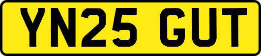 YN25GUT