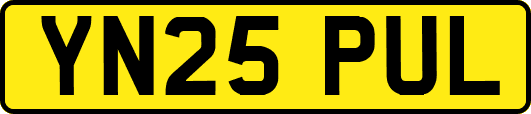 YN25PUL