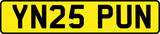 YN25PUN