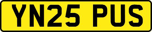 YN25PUS