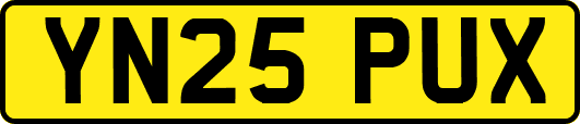 YN25PUX