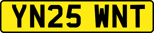 YN25WNT