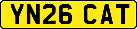 YN26CAT