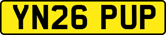 YN26PUP