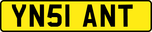 YN51ANT