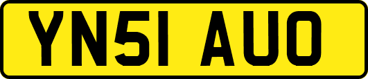 YN51AUO