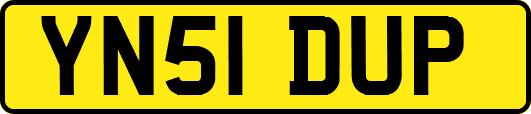 YN51DUP