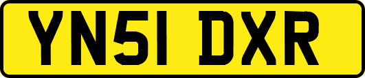 YN51DXR