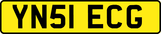 YN51ECG